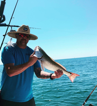 Catch more with Green Creek